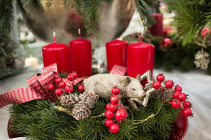 Unser Adventsmarkt strahlt in festlichem Glanz