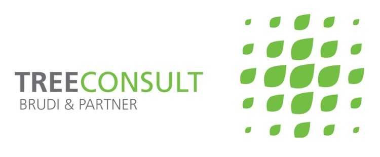 Logo Brudi & Partner Tree Consult