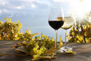 Weinhandel Sabitzer GmbH