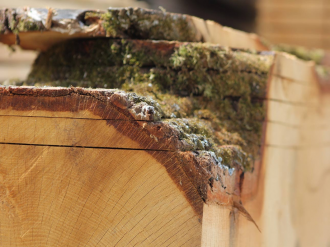 Bösmeier – vom Sägewerk zum Holzfachmarkt