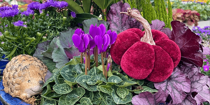 Teaser Gartencenter Seebauer