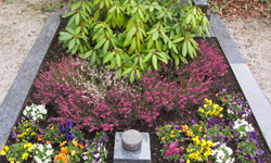 Grabpflege Friedhof Zorneding