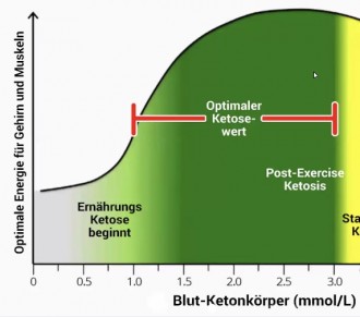 Wie wirken exogene Ketone