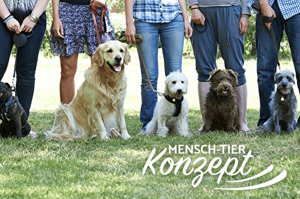 Mensch-Tier-Konzept I Mobile Hundeschule & Welpenschule München und in der Nähe