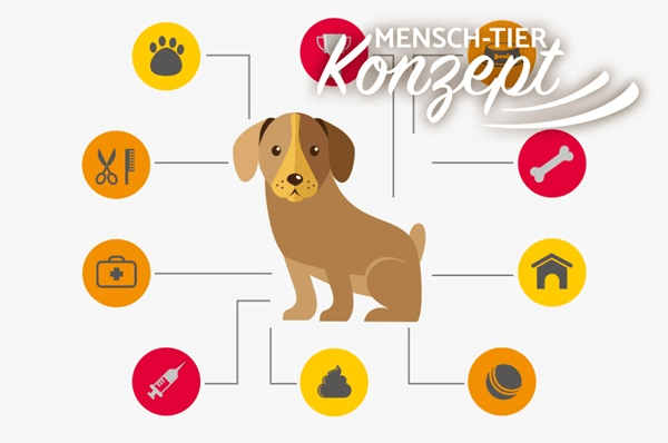 Kursangebote für mobiles Hundetraining München und Umgebung