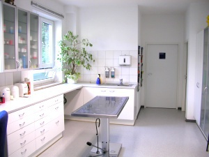 krolopp dr ballauf dr tierarzte tierarzt unterhaching auf muenchen de