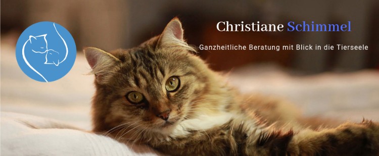 schimmel christiane tierheilpraktiker munchen und umland auf muenchen de