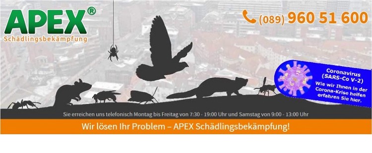 Logo APEX Schädlingsbekämpfung