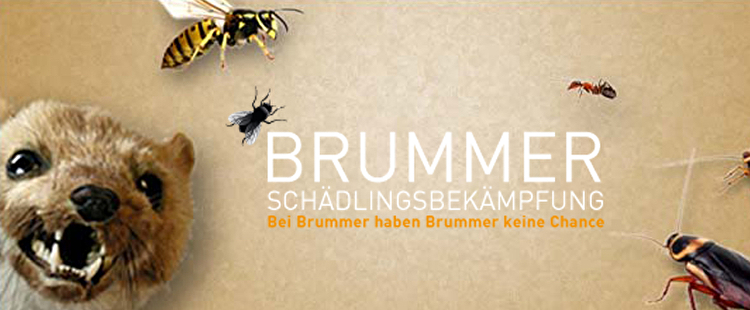 Logo Brummer Schädlingsbekämpfung