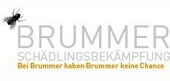 Brummer Schädlingsbekämpfung