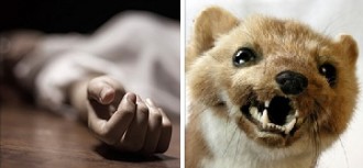 Professionelle Tatortreinigung und Geruchsneutralisierung