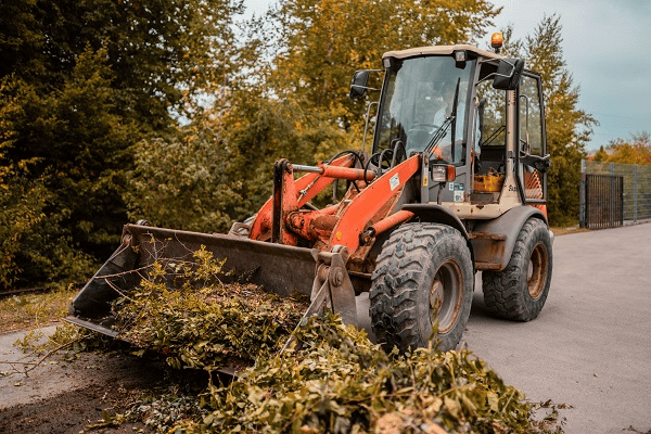 Grünanlagenpflege - Rasen mähen - Hecke schneiden Freimann