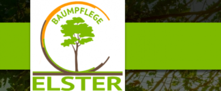 Logo Baumpflege Elster Baumfällung