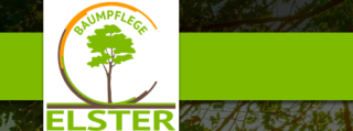 Baumpflege Elster Baumfällung