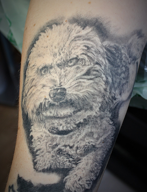 Merlins. Rocking Needles Tattoo Fürstenfeldbruck auf muenchen.de