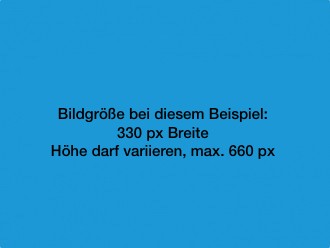 Textelement mit Bild linksbündig