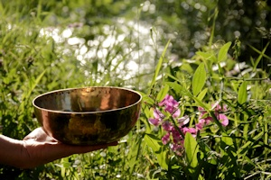 Meine therapeutischen Schwerpunkte sind