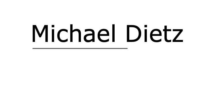 Logo Dietz Michael - Beratung