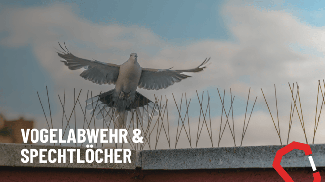 Leistungen – Höhenarbeiten in München und ganz Bayern