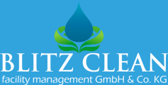 Blitz Clean