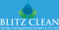 Blitz Clean Logo