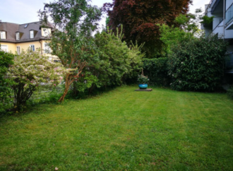 Gartenpflege