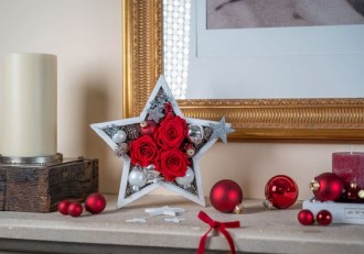 Rosen zu Weihnachten - das besondere Geschenk