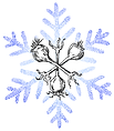 SvK-Kaelte-Klimatechnik