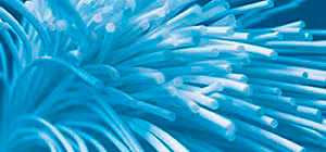 KEBOS Technical Services GmbH